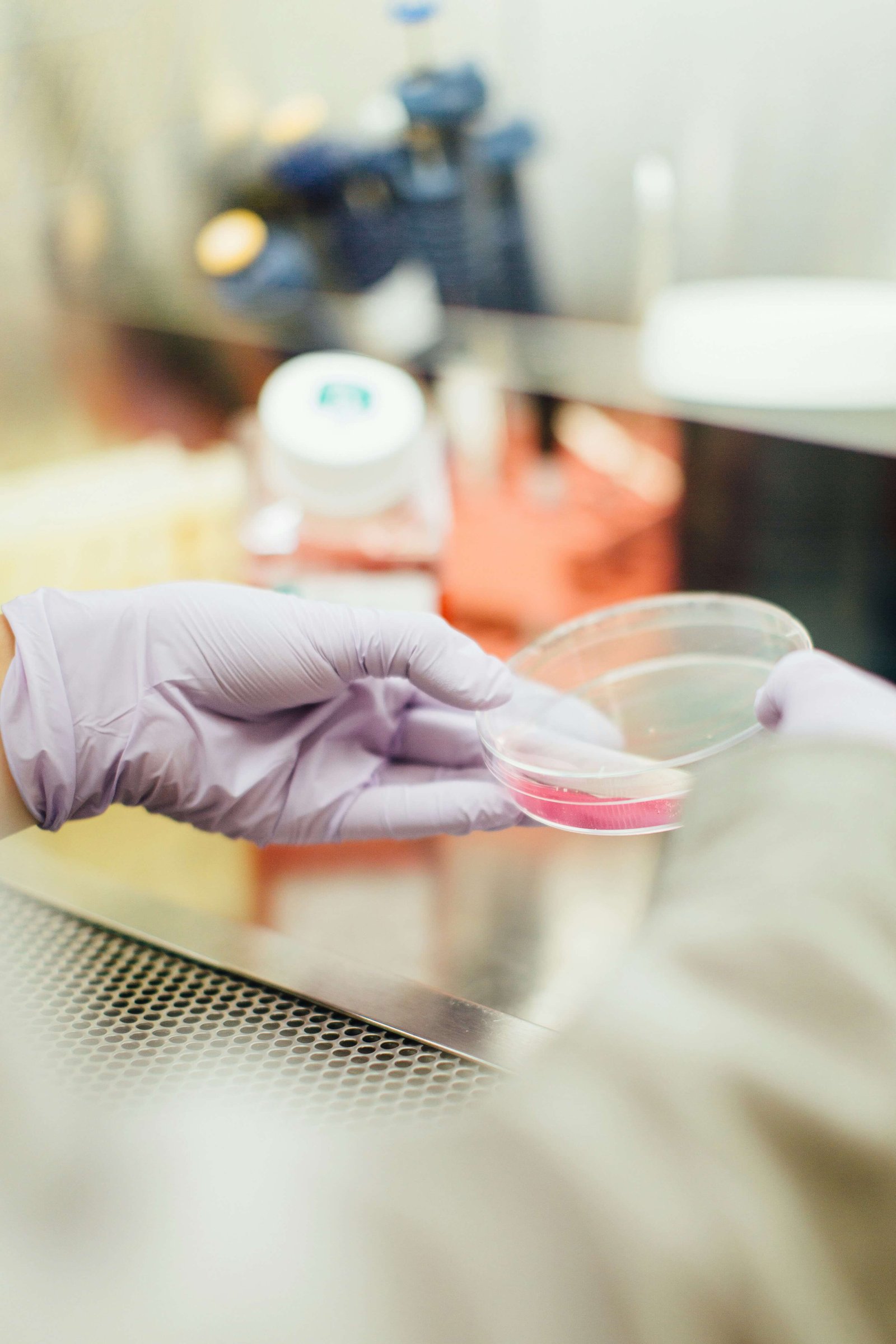 Sample analysis during quality control process